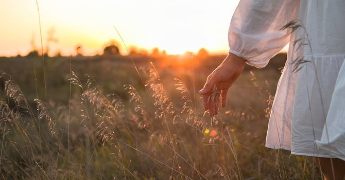 Adult Individual Counselling