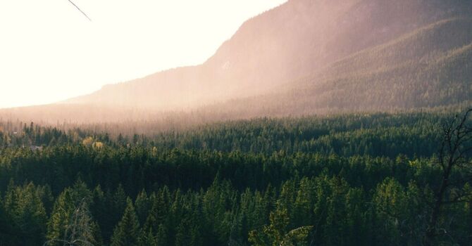 EMDR- Individual Therapy