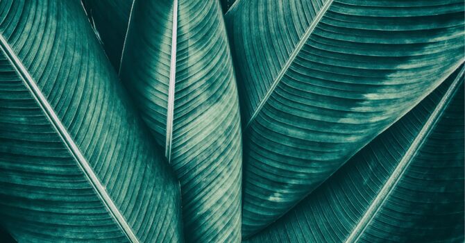 Self-Care: Why is it so important, and why it is not selfish?